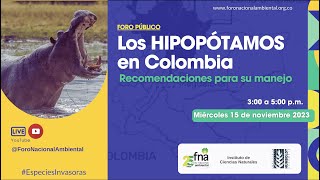 FORO  Hipopótamos en Colombia recomendaciones para su manejo [upl. by Eyahsal]