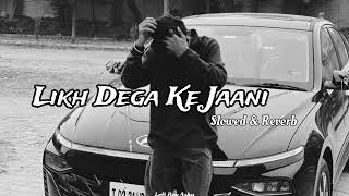 Likh Dega Ke Jaani  Slowed amp Reverb  Haryanvi Lofi Song [upl. by Hutton372]