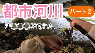 何が釣れるか探ってみる 釣り 河川 釣りガール [upl. by Schecter]