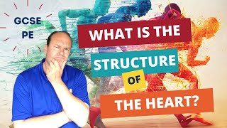 GCSE PE What is the Structure of the Heart [upl. by Tnerual744]