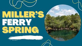 Millers Ferry Spring on Holmes Creek in Washington County Florida [upl. by Lahcar]