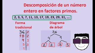 Descomposición de un número entero en factores primos Forma tradicional y diagrama de árbol [upl. by Buckden]