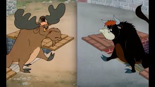 Which Is Better 28  Homesteader Droopy vs Senor Droopy [upl. by Tlevesoor]