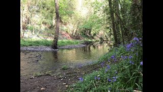 Snowdonia Slate Trail Part 1 [upl. by Nagam]