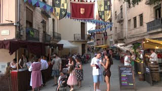 Ambient campaments i espectacles de carrer a la XXVII Festa del Renaixement de Tortosa [upl. by Yelsna248]