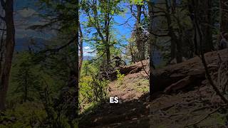 Downhill en la Patagonia Argentina mtb downhillmtb [upl. by Sefton406]