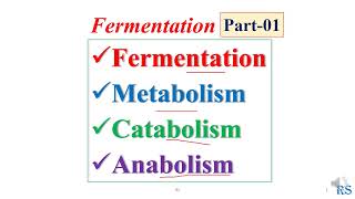 102 Fermentation Chemistry Metabolism Catabolism amp Anabolism [upl. by Sukram]