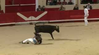 Course landaise  Alès Feria de lAscension 2012 [upl. by Fernanda896]