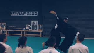 Aikido  Peek 6 Travaglini Sensei [upl. by Ahsenauj]