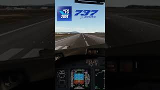 Flight Simulator 2024 Boeing 737 Landing Cockpit View fs2024 msfs [upl. by Assirek]