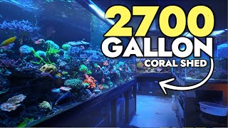 Touring The BEST Hobbyist NPS Aquarium  Stunning Corals And Fish [upl. by Ghassan]