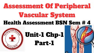 Assessment of Peripheral Vascular System  Health Assessment 4th Sem  BSN Chap  1 Part1 [upl. by Ehcropal]