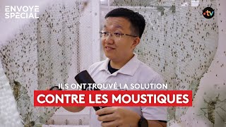 Ils ont trouvé la solution pour lutter contre les moustiques [upl. by Ahtrim]