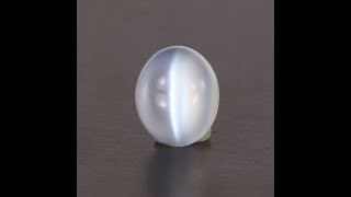 Oval Cabochon Catseye Moonstone 403 Carats [upl. by Assetan892]