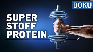 Superstoff Protein – macht Eiweiß schlank und fit  Superstoffe  alles wissen  doku [upl. by Collins]