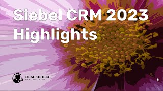 Siebel CRM 2023 Highlights [upl. by Araik]