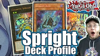 Spright  Splight Deck Profile August 2022 YuGiOh Power of the Elements [upl. by Millhon58]