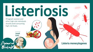 Listeriosis Listeria Monocytogenes  Sources Pathophysiology Symptoms Diagnosis Treatment [upl. by Rehtae]