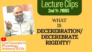 What is DECEREBRATION decerebrate rigidity Neuroanatomy Upper Motor Neuron Lesion 2nd Year MBBS [upl. by Bourke]