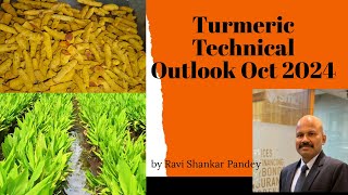 Turmeric Short Term Technical  Oct 2024 [upl. by Laughlin]