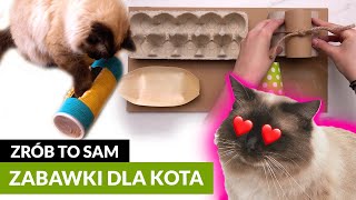 4 ZABAWKI DLA KOTA DIY 😻 [upl. by Roz]