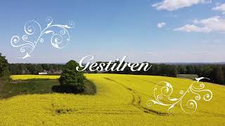 Gestilren Tidaholm [upl. by Kassey]