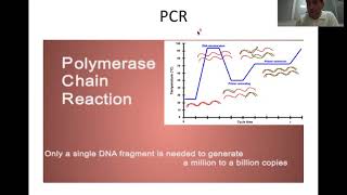 Moleküler Tanı YöntemleriI PCR ElektroforezPart1 [upl. by Xad]