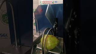 Indias Most Advanced Coconut Cutting Machine [upl. by Hsirrehc]