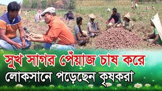 সুখ সাগর পেঁয়াজ চাষ করে লোকসানে পড়েছেন কৃষকরা  Shukh Sagar Payaj Cash Dewan Siraj Mati O Manush [upl. by Darice246]