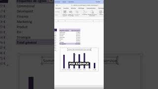 Faire un graphique croisé dynamique [upl. by Ilamad]