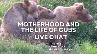 Bear Motherhood and the Life of Cubs  Brooks Live Chat [upl. by Sams116]