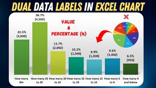 Display Both Percentage  amp Value in Excel Column Charts [upl. by Ollayos]