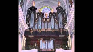 Allegro 6th Symphony by Widor Notre Dame Metz France CavailleColl organ [upl. by Assedo842]