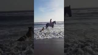 Zulema Ferrer montando caballo en mar quotAmazona a peloquot [upl. by Spalla]