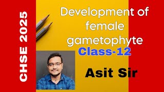 Development of Female gametophyte  Class 12  CHSE 2025 asitbotany2107 [upl. by Chaworth766]