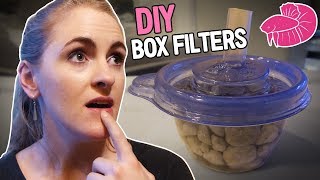 DIY Betta Box Filters  Did They Work [upl. by Hoffert]