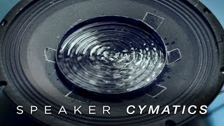 Cymatics Speaker Dish [upl. by Ymmaj972]