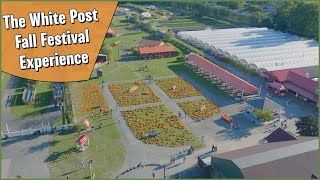 2023 Fall Farm Festival Highlights [upl. by Eentruok]