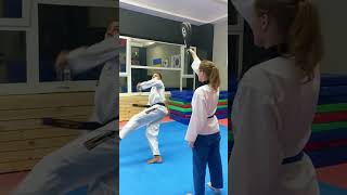 Master Taekwondo Kicking Techniques Level Up Your Skills Now [upl. by Shirah]