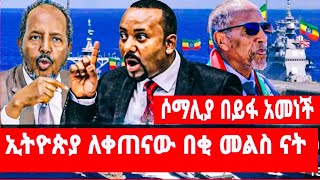 ሶማሊያ በይፋ አመነች ኢትዮጵያ ለቀጠናው በቂ መልስ ናት [upl. by Alegnave468]