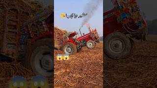 tractor lover 385tractorlover 385 pleasesubscribemychannel pleasesupport farming varilvideo [upl. by Hild]