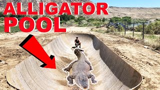 How I Built An Alligator House [upl. by Fausta380]