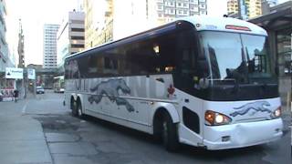 Coach Canadas MCI J4500 and Greyhound Canadas MCI D4505 [upl. by Haff]