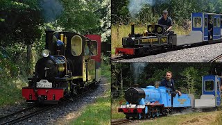 Yet ANOTHER Visiting Loco at the Eastleigh Lakeside Railway  July 2024 [upl. by Htnnek]