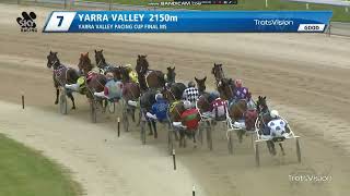 2024 Yarra Valley Pacing Cup [upl. by Bagger710]