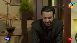 Laapata Episode 13  Best Moment  1  Sarah Khan  HUM TV Drama [upl. by Kcitrap]