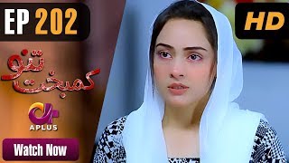 Drama  Kambakht Tanno  EP 202  Aplus  Shabbir Jaan Tanvir Jamal Sadaf Ashaan  C2U1 [upl. by Lothar]