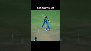 King goat shot make shorts cricket [upl. by Ille361]