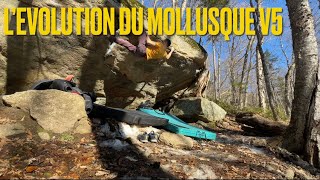 ⭐️ L’evolution du mollusque V5 ✅ STONEBLEAU MontWright 🇨🇦 Secteur de gauche  Bouldering 🪨 [upl. by Nnaytsirk]