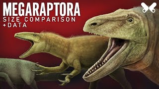 MEGARAPTORA Dinosaurs size comparison and data [upl. by Nalla226]